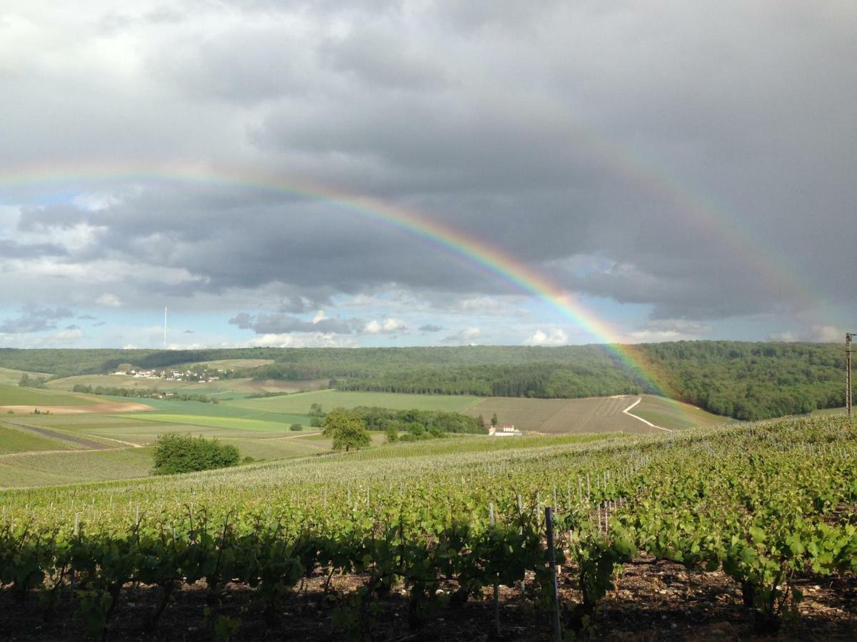 Flor'Ever En Champagne Fleury-la-Riviere Eksteriør bilde