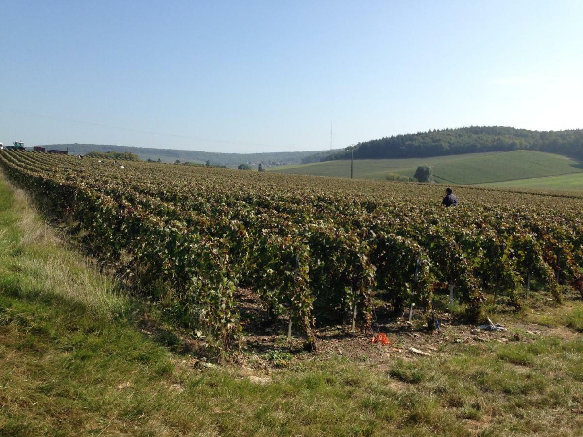 Flor'Ever En Champagne Fleury-la-Riviere Eksteriør bilde