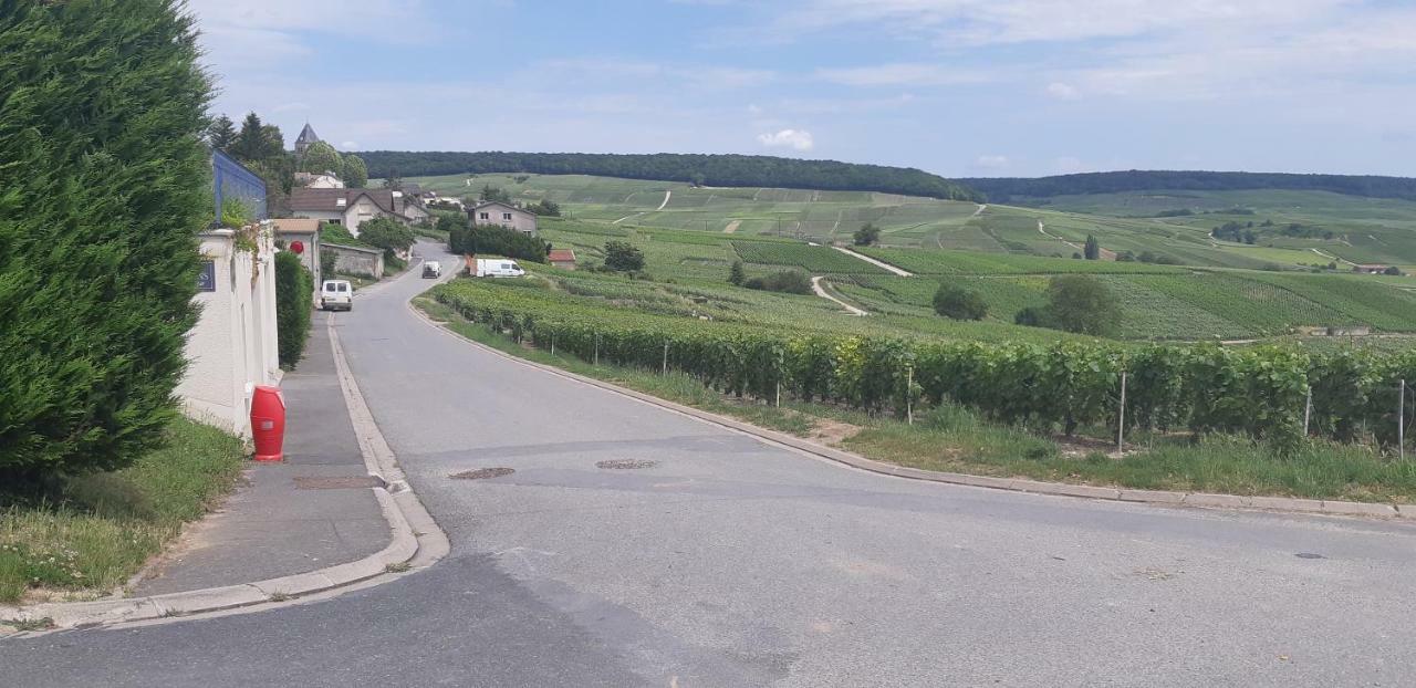 Flor'Ever En Champagne Fleury-la-Riviere Eksteriør bilde