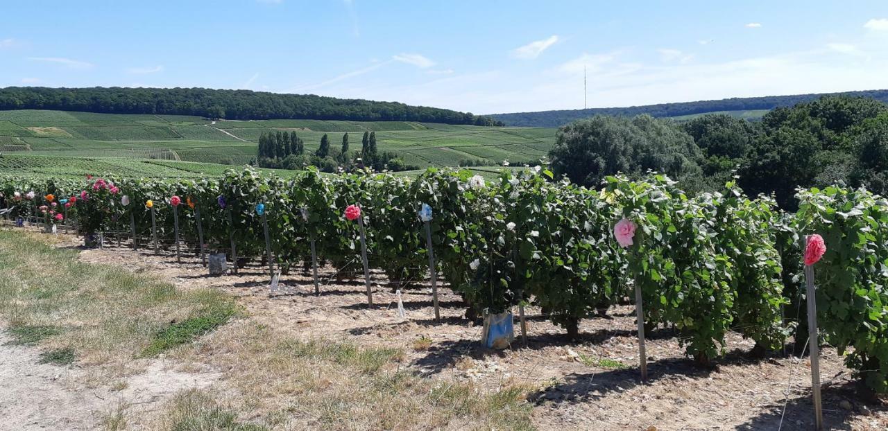 Flor'Ever En Champagne Fleury-la-Riviere Eksteriør bilde