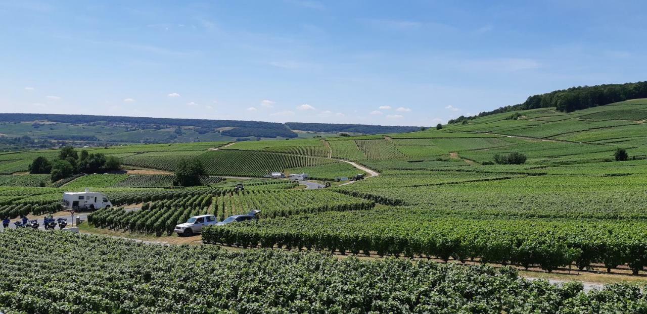 Flor'Ever En Champagne Fleury-la-Riviere Eksteriør bilde